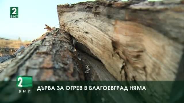 Дърва в складовете на едно от най големите дружества за