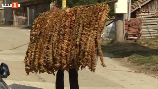 Тютюнопроизводители от Хаджидимово протестираха срещу обложените с данък пари които