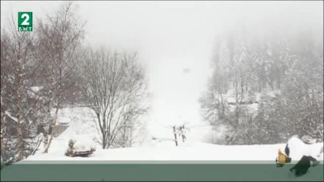 Прокурорска проверка за изоставени и умрели коне в Осоговската планина