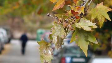  Времето през почивните дни: Слънце в Западна България, облаци в източните региони 