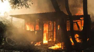  Все още бушуват част от пожарите в Гърция, лишили живота на десетки души 