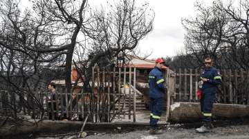  Гръцки политици: Има доказателства, че тенденциозен палеж е предизвикал пожарите 