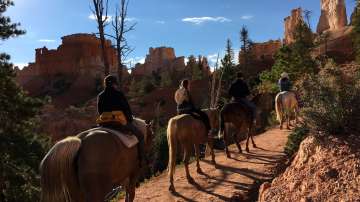  Юта, Съединени американски щати 