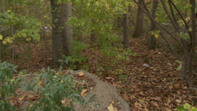  В тези шубраци се допуска, че е осъществено груповото обезчестяване 