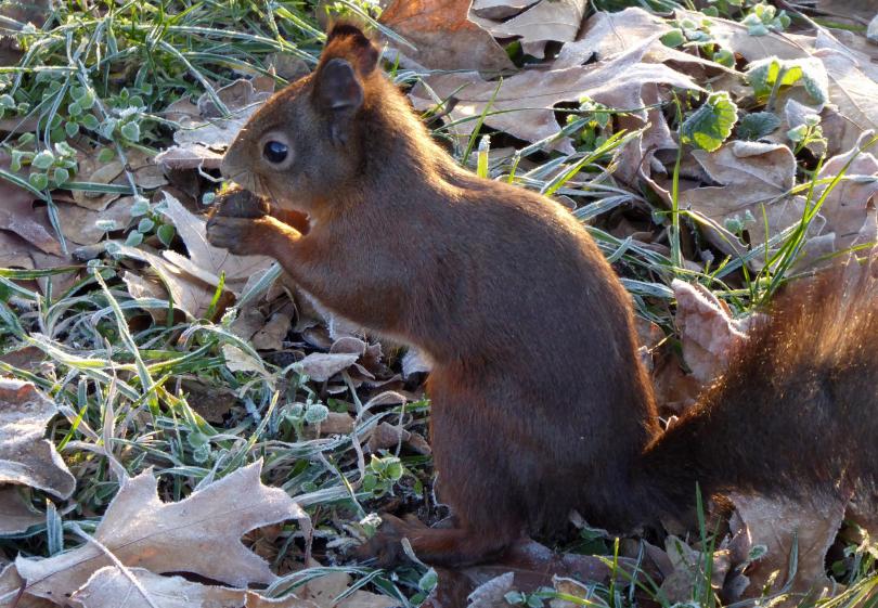 Тази събота времето беше почти пролетно Вчера обаче ни изненада