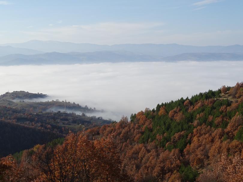  Преди обед се чакат мъгли 