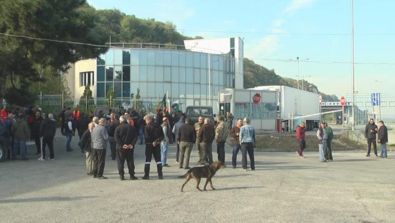 Започва груповият лов на диви прасета в страната Заради огнищата