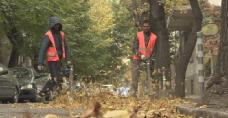 Започна интензивното почистване на падналите листа в града Причината е
