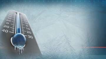  Затвориха за товарни коли пункта 