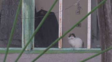  В Свищов разкриха майка, която години наред е държала заключени дъщерите си 