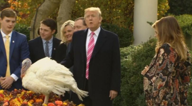 Президентът Доналд Тръмп помилва първите си пуйки Той спази традицията