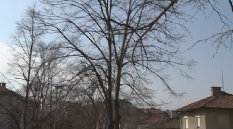 През последните години Благоевград всяка зима е в топ 10