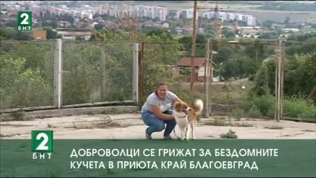 Доброволци се грижат за бездомните кучета в приюта край Благоевград
