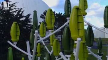 Зелена светлина: Щом листата уловят енергията от вятъра - 5 януари 2015 г.