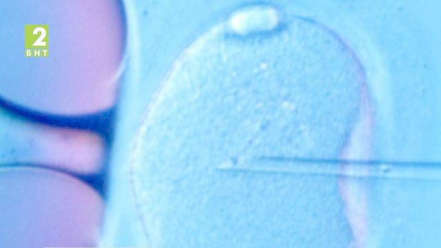 Втора сесия за ин витро в Русе