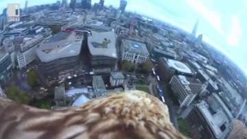 Зелена светлина: От птичи поглед - 25 февруари 2015 г.