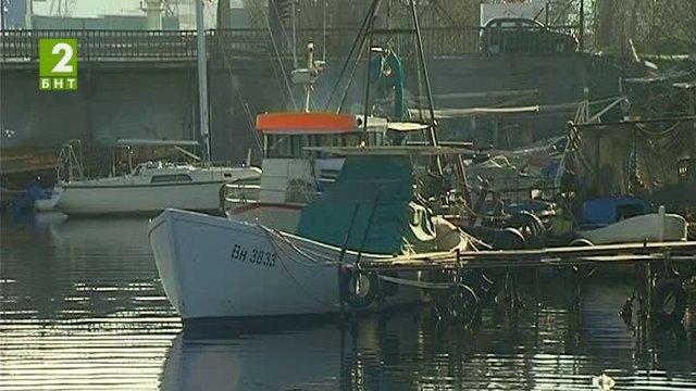 Калканът е забранен за улов до 30 юни