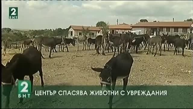 Център спасява животни с увреждания