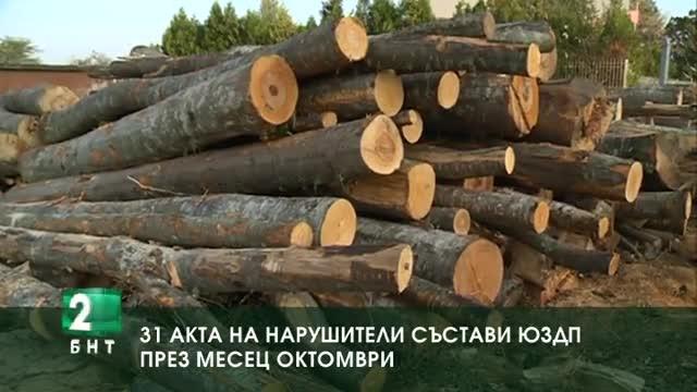 31 акта на нарушители състави ЮЗДП през месец октомври