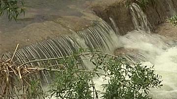 Отровена ли е река Луда Яна