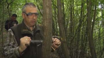 Нов метод за производство на дървесина в държавното горско стопанство в Карлово