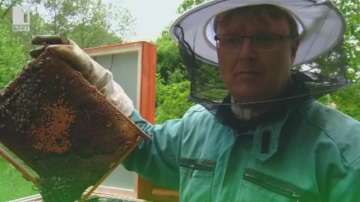 Зелена светлина: солариум за пчели - 2 юни 2015 г.