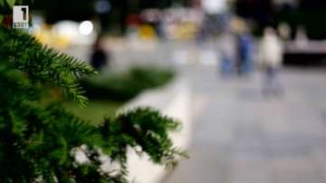 Зелена светлина: Бели сертификати осмислят борбата с вредните емисии - 29 май, 2015 г.