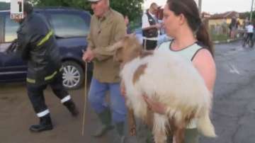 Порои наводниха село Турия