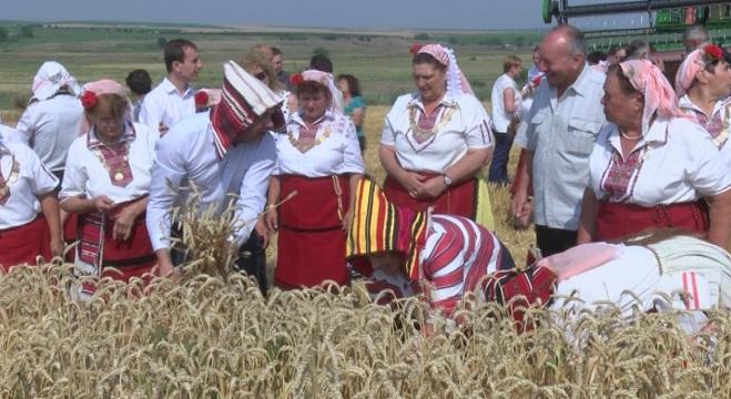 Среден добив на пшеница 415 кг. от декар, прогнозира министърът на земеделието