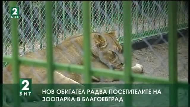 Нов обитател радва посетителите на зоопарка в Благоевград