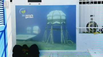 Зелена светлина: Градина под водата - 6 юли 2015