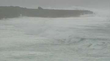 Тайфунът Неогури носи силни дъждове към Япония