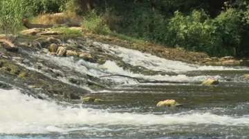 Пак замърсяват река Янтра