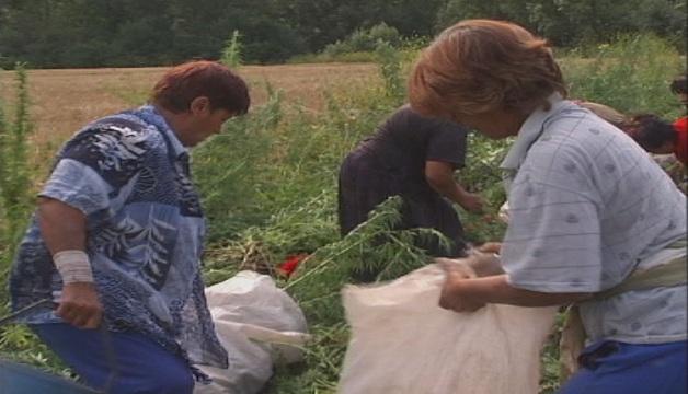 Компенсации за земеделските производители заради руското ембарго (ОБНОВЕНА)