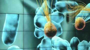 Зелена светлина: Вселената на микробите - 14 октомври 2014