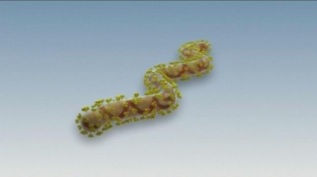 Петима под наблюдение заради съмнения за ебола