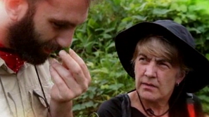 Зелена светлина: Богатствата на джунглата