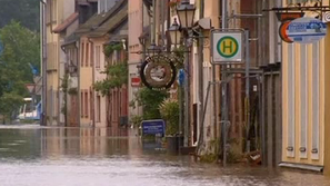 Зелена светлина: Уроците на природата