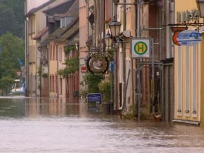 Зелена светлина: Уроците на природата