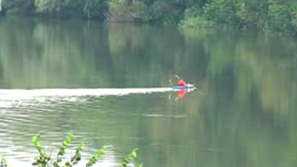 Зелена светлина на фокус: Развитието на Дунав