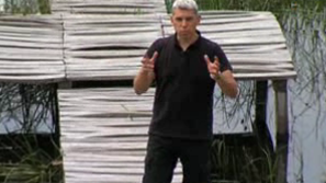 Зелена светлина на фокус: Животът се завръща в блатата на Персин