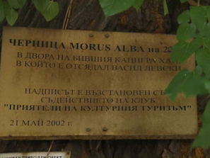 Говорят ли вековните дървета