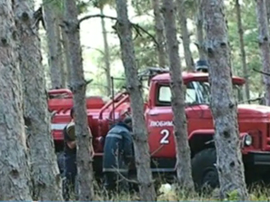 Локализиран е пожарът край Харманли