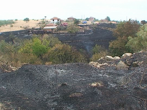 Пожар край харманлийското село Коларово