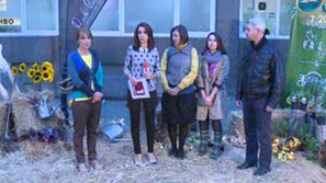 Паркингът като зелено пространство