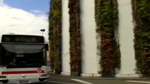 Зелена светлина: Зелени стени срещу вредните частици