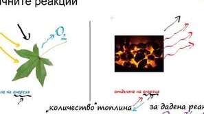 Изкарваме шестици с видеоуроци