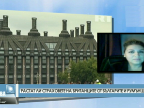 българи българи острова