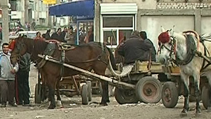 Бунт готвят каруцарите в Пловдив