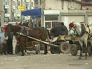 бунт готвят каруцарите пловдив